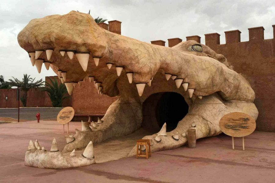 🐊 Крокопарк Агадир — уникальный парк крокодилов и ботанические сады Марокко