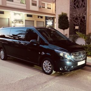 VITO 2