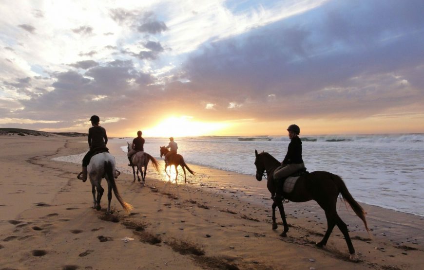 🐎 Конные прогулки