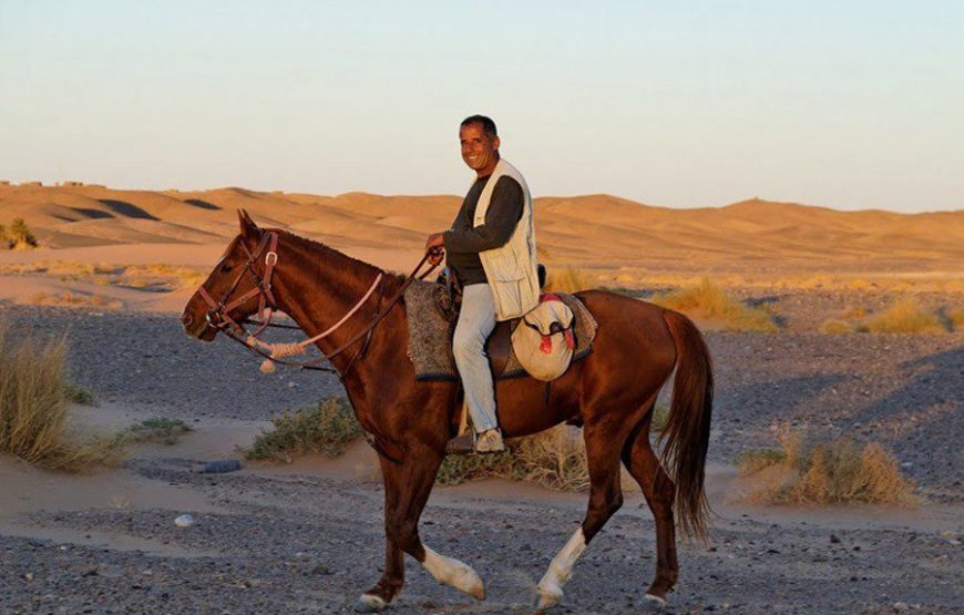 🐎 Конные прогулки